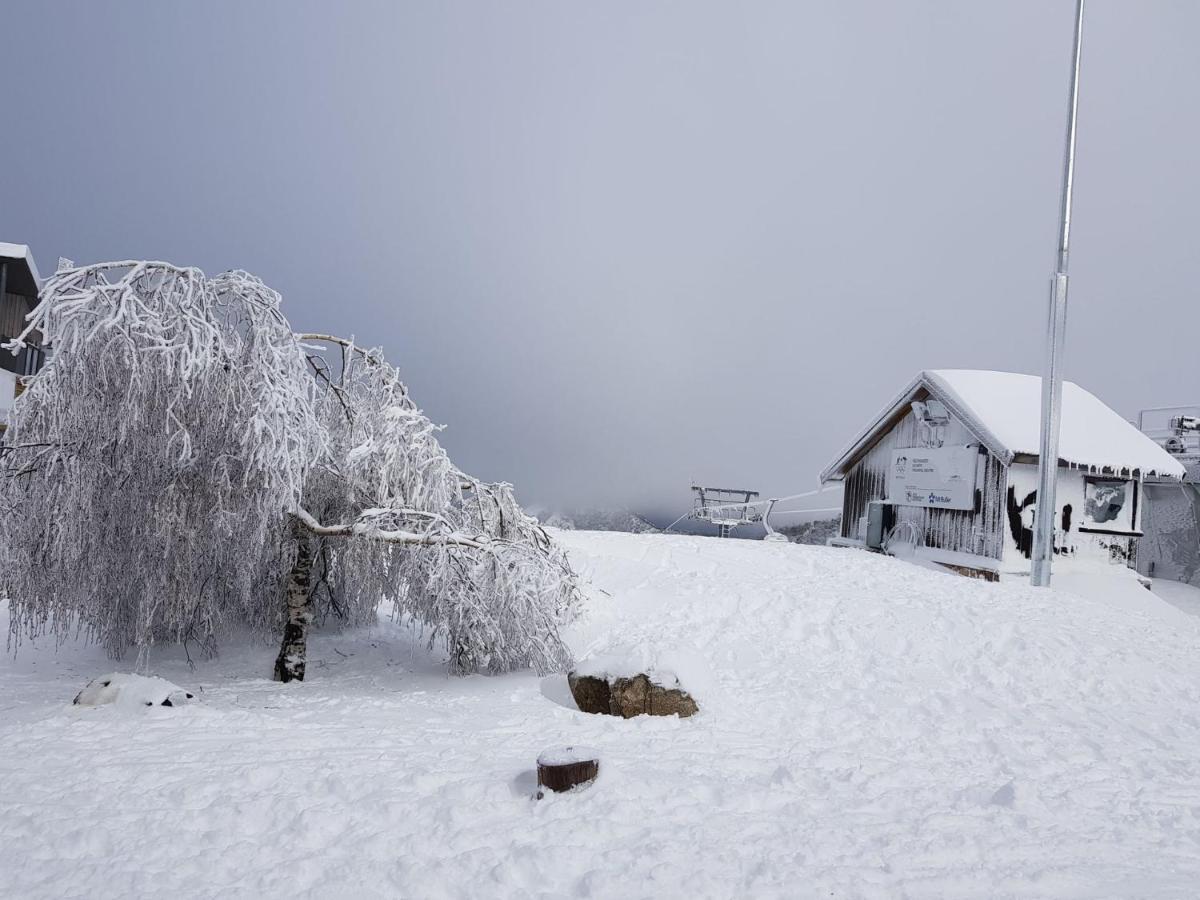 Appartamento Peak 105 Mount Buller Esterno foto